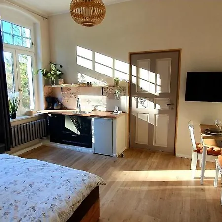 Vogtlandperle Apartment Oelsnitz (Vogtland)