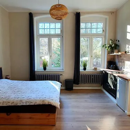 アパート Vogtlandperle エルスニッツ