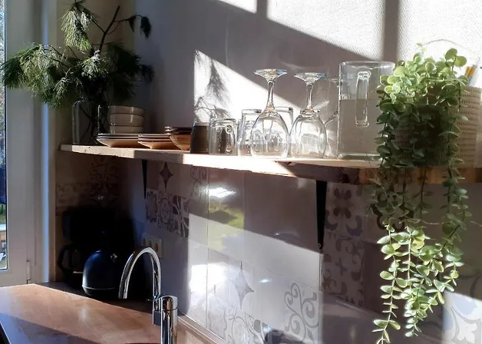 Vogtlandperle Oelsnitz (Vogtland)